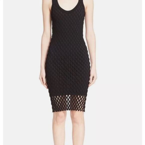 Alexander Wang Runway Crochet Net Pitch Dress XS Black Designer Bodycon Goth - Picture 1 of 14